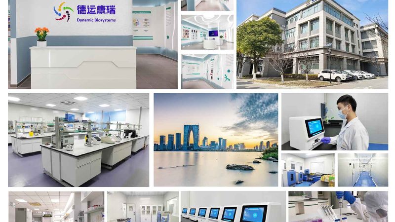 细胞培养与组织培养：本质区别与关键要点
