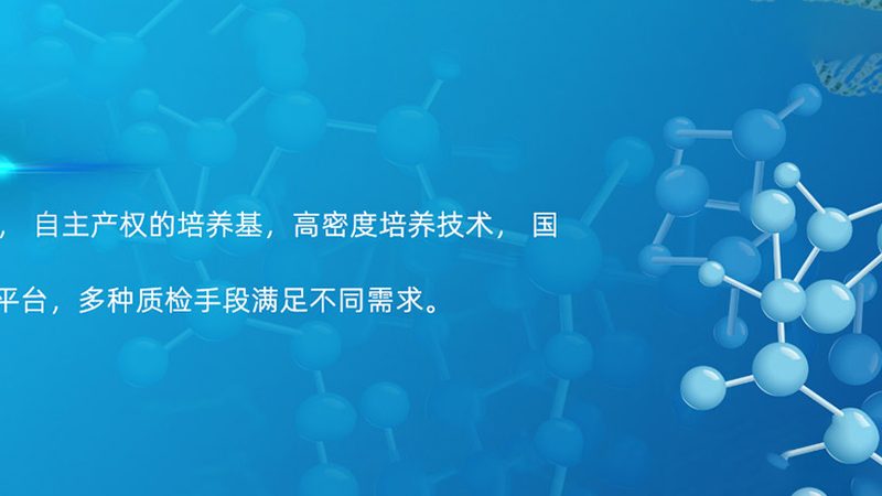 宠物疫苗抗体检测试剂盒：如何正确使用，保障宠物健康**