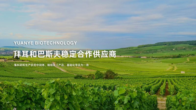 生物医药注册申报：流程解析与法规要点**