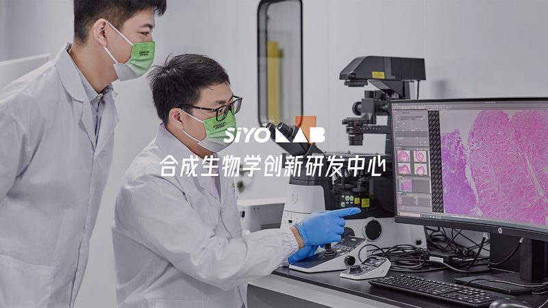 引物合成：揭秘最大长度限制背后的秘密**