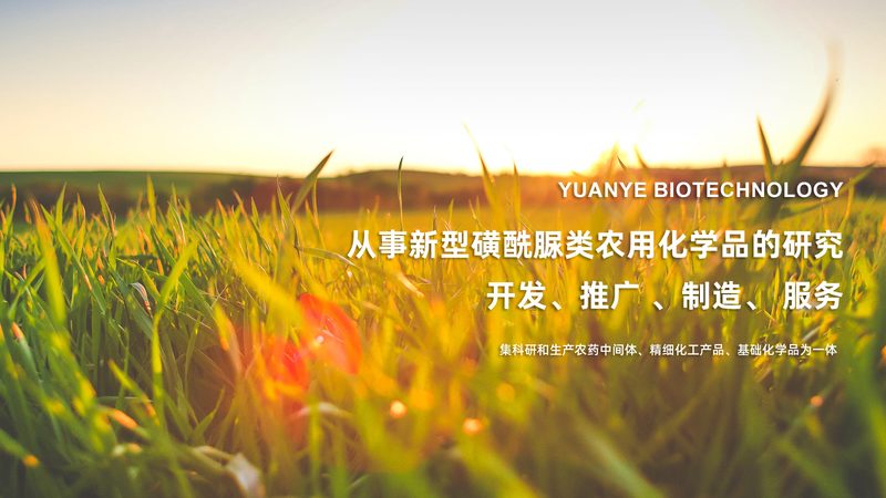 细胞培养基现货供应，从下单到收货的完整流程拆解