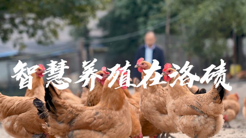 生物制品临床试验流程揭秘：从IND申报到上市，全过程解析