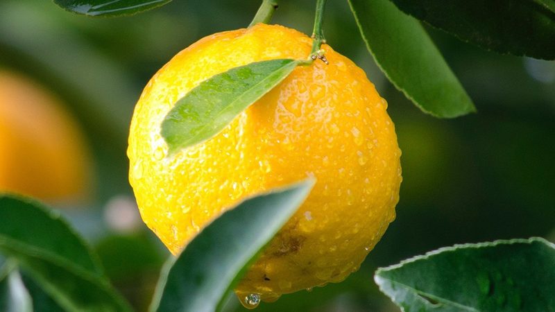 生物科技实验室定制装修：揭秘背后的关键要素**