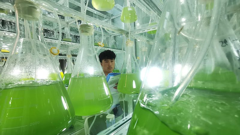 生物科技试剂：如何选择可靠的直销代理？**